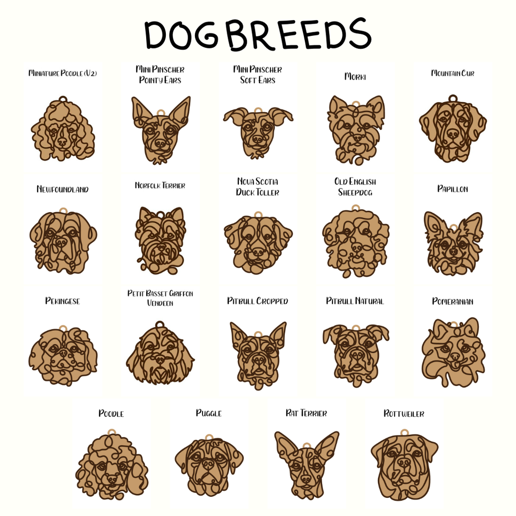 Illustrations of various dog breeds with labels on a white background