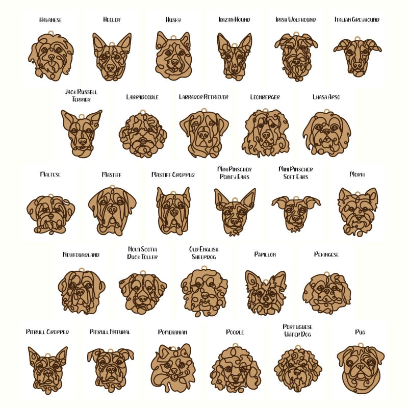 Sample of dogs.