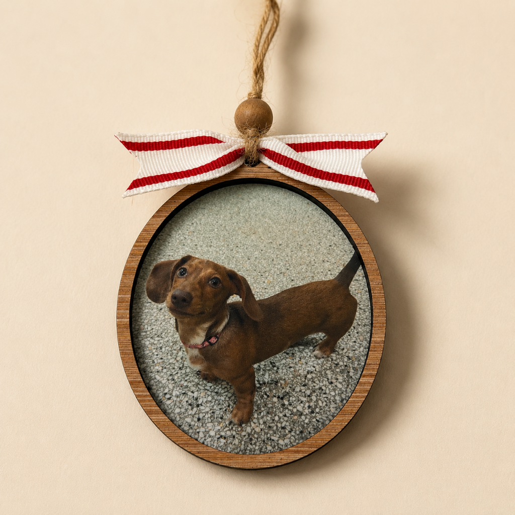 Round wooden frame with a dachshund photo and red and white ribbon on a beige background
